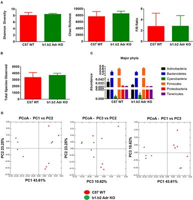 Increased Abundance of Lactobacillales in the Colon of Beta-Adrenergic Receptor Knock Out Mouse Is Associated With Increased Gut Bacterial Production of Short Chain Fatty Acids and Reduced IL17 Expression in Circulating CD4+ Immune Cells